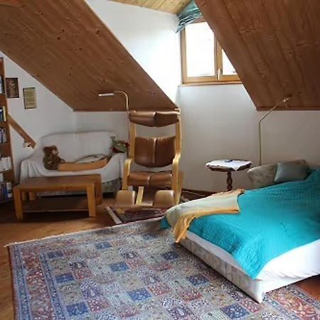 Ferienwohnung Abelein Passau Ngoại thất bức ảnh